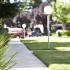 Garden Walk