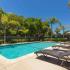 833 S Cedros Ave Solana Beach-Sandpiper Pool