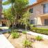 515 Glover Ave Chula Vista CA-Courtyard Landscape