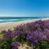 1000 Chinquapin Ave Carlsbad-Carlsbad Beach