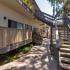 1000 Chinquapin Ave Carlsbad-Courtyard Walk Path