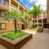 54 Woodlawn Ave Chula Vista CA-View Pointe Courtyard