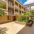 54 Woodlawn Ave Chula Vista CA-View Pointe Courtyard