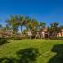 1104 Garden View Rd Encinitas-Grass Area