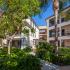 1104 Garden View Rd Encinitas-Courtyard