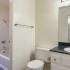 Jack and Jill Bathroom