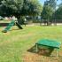 Dog Park 3