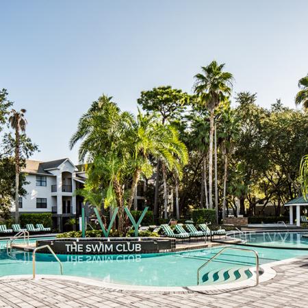 1800 The Ivy, exterior, sparkling blue swimming pool, sign 'The Swim Club', palm trees, trees, lounge chairs, building exterior