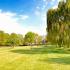 Belmont Park Apts; Exterior, Large grassy area, pet station, trees lining the community
