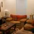 A colorful living room. | Pet-friendly rental houses, Schriever SFB, Colorado Springs CO