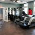 Midway Park Fitness Center | Fitness Center | Elliptical and Weight Machines