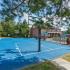 Resident Basketball Court | Apartment in Lexington, KY | Pinebrook Apartments