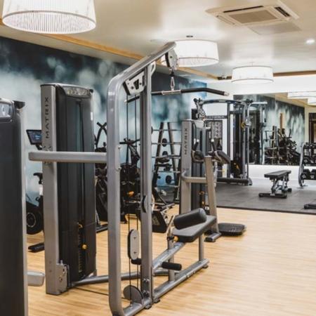 Fitness studio with exquisite lighting, mirrors, weight machines and treadmills at Modera Broadway apartments.