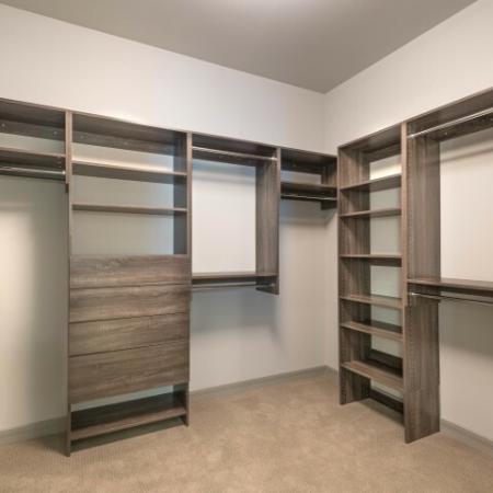 deluxe shelving in closets