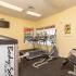 State-of-the-Art Fitness Center | Apartments in Miami Gardens | Advenir at Walden Lake