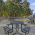 Community Picnic Area |  Beaumont Grand Apartments in Lakewood WA