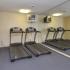 Treadmills in apartment fitness center