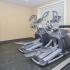 Community fitness center with ellipticals at Oak Tree Apartments in Newark, DE.