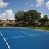 Tennis Enclave at Northwood | Clearwater Apartments