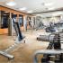 State of the Art Fitness Center Fully Equipped with Cardio and Free Weights
