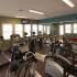 Fitness Center at The Village at Chandler Crossings Apartments.