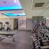Fitness center weight area