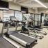 Fitness center with cardio and weight machines