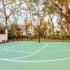Full size basketball court with fenced in with trees surrounding it.  Tennis court in background..