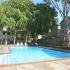 Almaden Terrace Swimming Pool in San Jose, California