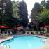 Sparkling pool, chair lounges & tables, Shade trees.