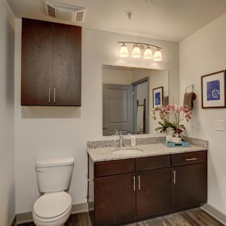 Ornate Bathroom | Apartments in Richardson | Northside