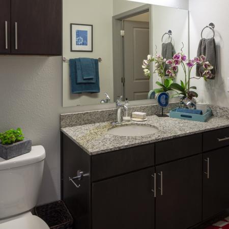 Elegant Bathroom | Apartments in Richardson | Northside
