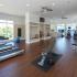 State-of-the-Art Fitness Center | Apartment Homes in Gaithersburg, MD | Spectrum Apartments