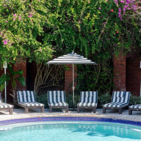 1810 The Social, exterior, sparkling blue pool, blue and white lounge chairs, umbrella, foliage and pink flowers, brick wall
