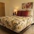 Fallsatff Manor Apts, Interior, master bedroom, plush wall to wall carpet, walk-in closet, window in bedroom, 2 night stands, queen size bed,