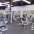 A large fitness center with several different types of blue and white fitness equipment. Rental Houses near Los Angeles AFB | Los Angeles, CA