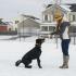 Woman at dog in dog park | Snow on the ground