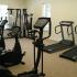 Fitness Center | Inside Gym | Elliptical Machines | Workout Room
