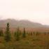 An open field below misted mountains.| Fort Wainwright On Post Housing