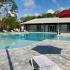 Outdoor Pool | Apartments in Daytona Beach, FL | Bellamy Daytona