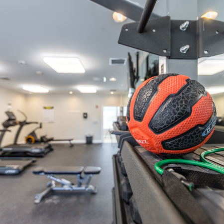 State-of-the-Art Fitness Center Weights | Princeton Westford | Westford Massachusetts Apartments