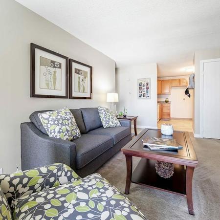 Gorgeous living room layout | Princeton Park | Lowell MA apartments