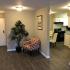 Luxurious Living Area | Apartments in Mount Prospect Illinois | The Element