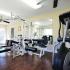 State-of-the-Art Fitness Center | Apartment Homes in Johnson City, TN | Sterling Hills