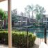 Patio to Pond | Trailpoint Apartments at The Woodlands