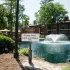 Community Fishing Pond | Trailpoint at The Woodlands
