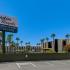 Paradise Royale | Apartments For Rent in Las Vegas, NV