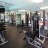 River View Apartments, interior, fitness center, large windows, weight machines