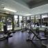 River View Apartments, interior, fitness center, large windows, weight machines, elliptical, treadmills