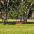 The Lodge at Woodlake apartments, exterior, red picnic table, grassy area, large trees, gated dog park